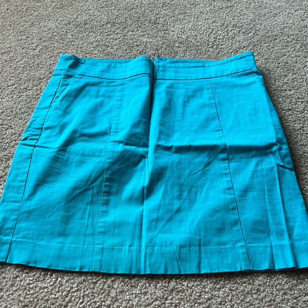 Ann Taylor Madison Skirt
